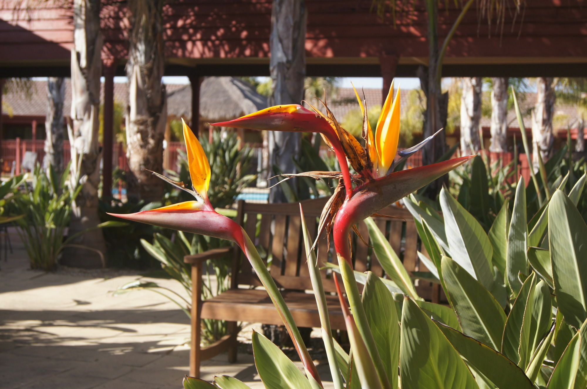 Quality Hotel Lakeside Bendigo Dış mekan fotoğraf